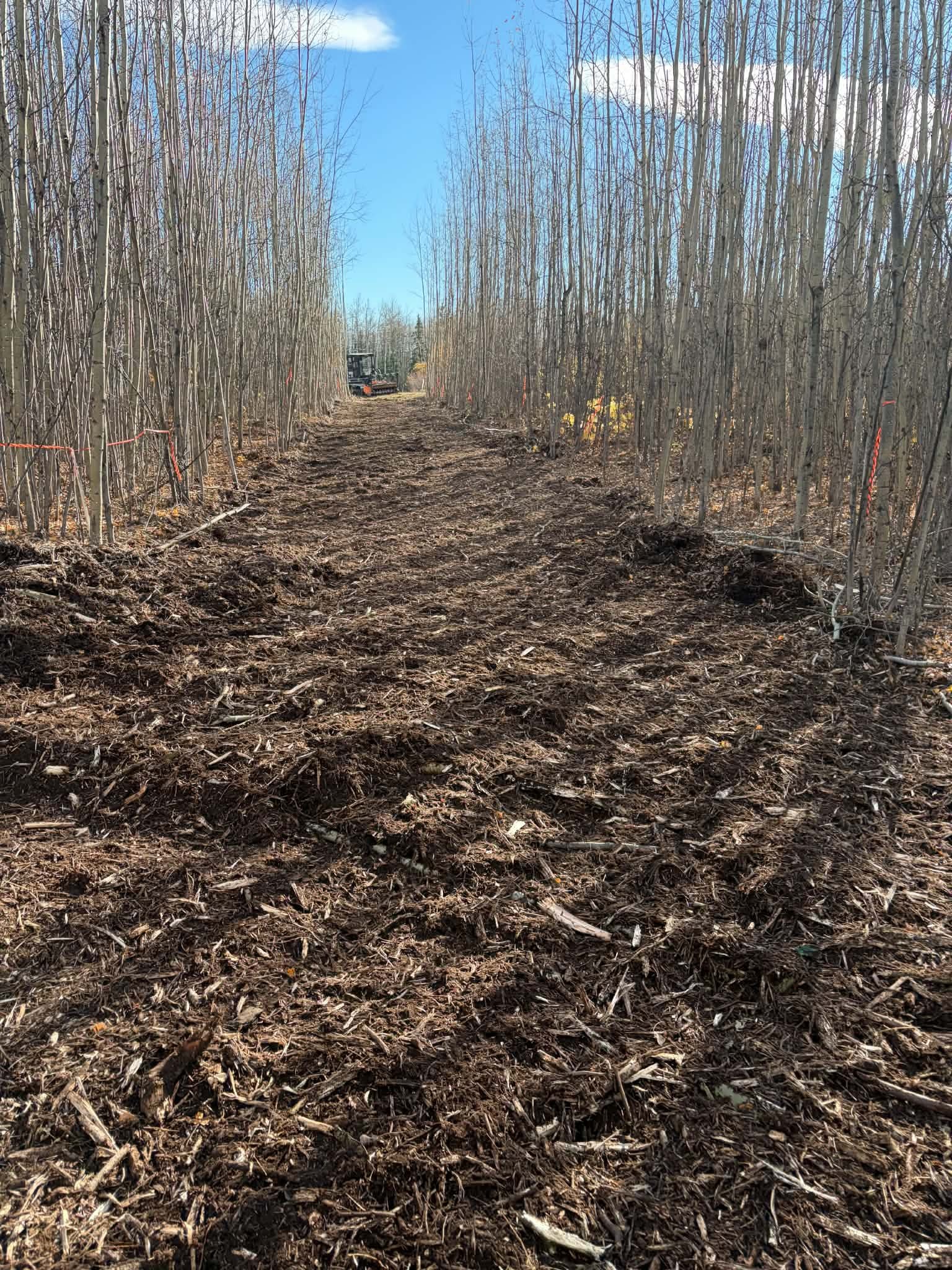 Aerial view of a completed land clearing project